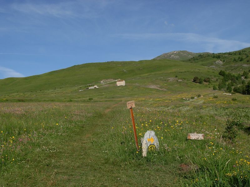 Pascoli e Alpe Chatelanaz