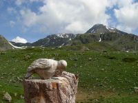 Particolare del picchio scultura sulla strada per il rifugio Mont Fallère