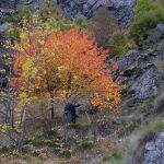 Sentiero Buisson-Levaz in autunno